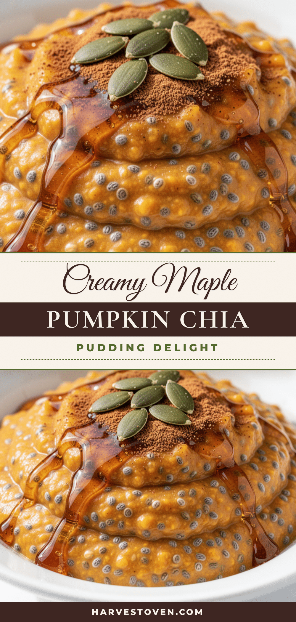 creamy maple pumpkin chia seed pudding recipe