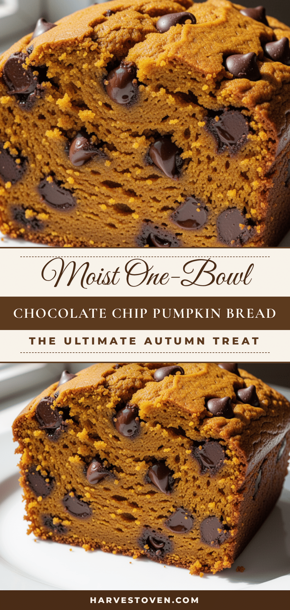 Moist One-Bowl Chocolate Chip Pumpkin Bread recipe